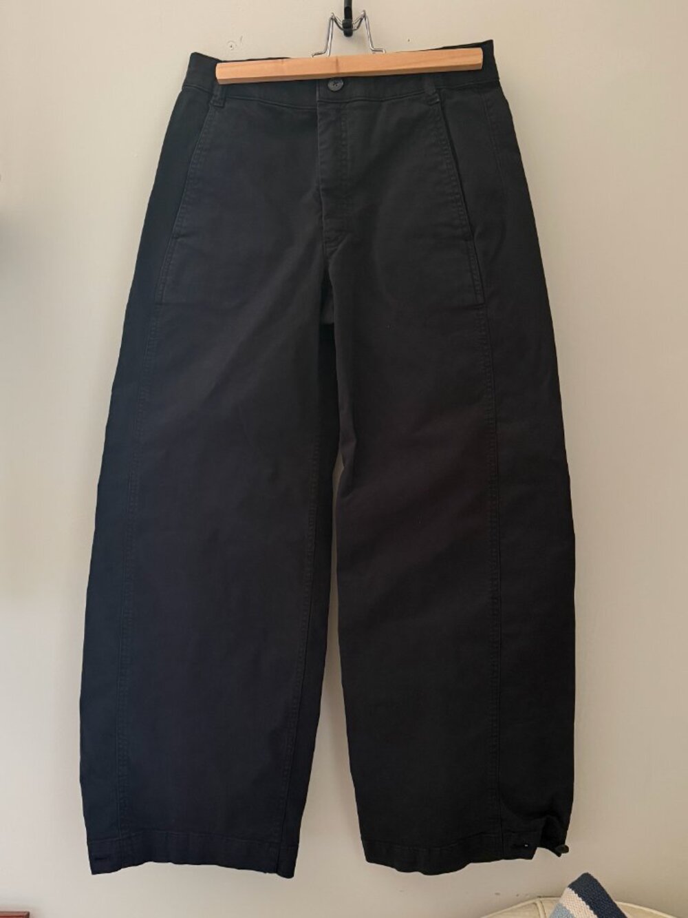 Everlane Barrel Pants